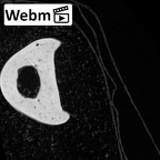 NH MER39 265 Piliocolobus preussi hand phalanx second proximal right ct stack movie