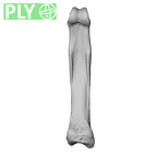 NH MER39 265 Piliocolobus preussi hand phalanx second proximal right ply