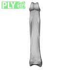 NH MER39 265 Piliocolobus preussi hand phalanx third proximal right ply