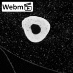 NH MER39 265 Piliocolobus preussi metacarpal first right ct stack movie