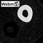 NH MER39 265 Piliocolobus preussi metacarpal second right ct stack movie