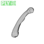 NH MER39 274 Piliocolobus preussi hand phalanx fifth proximal left ply