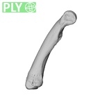 NH MER39 274 Piliocolobus preussi hand phalanx second proximal left ply