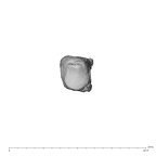 NH MER39 274 Piliocolobus preussi metacarpal first left proximal