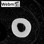 NH MER39 274 Piliocolobus preussi metacarpal second left ct stack movie
