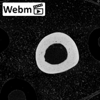 NH MER39 274 Piliocolobus preussi metacarpal third left ct stack movie