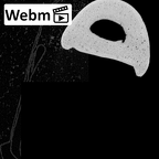 NH MER39 285 Piliocolobus preussi hand phalanx fourth proximal right ct stack movie