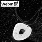 NH MER39 285 Piliocolobus preussi metacarpal first right ct stack movie