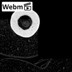 NH MER39 285 Piliocolobus preussi metacarpal fourth right ct stack movie