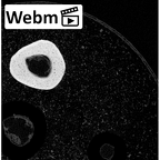 NH MER39 290 Piliocolobus preussi metacarpal fifth right ct stack movie