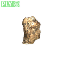 DNH 43B right os coxae posterior fragment