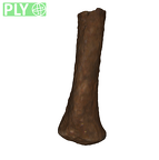DNH 112 - juv rt tibia
