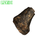 DNH 115 metatarsal 1