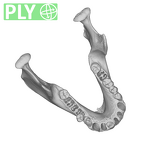 SMF-PA-PC-50 Pan troglodytes verus mandible ply
