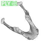 SMF-PA-PC-99 Pan troglodytes verus mandible ply