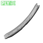 LVRB Neanderthal1 D322 03 Homo neanderthalensis rib left ply