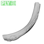 LVRB Neanderthal1 D322 05 Homo neanderthalensis rib left ply