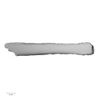 LVRB Neanderthal1 D322 06 Homo neanderthalensis rib interior