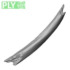 LVRB Neanderthal1 D322 07 Homo neanderthalensis rib left ply