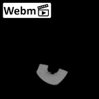 LVRB Neanderthal1 D322 09 Homo neanderthalensis humerus right ct stack movie
