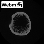 LVRB Neanderthal1 D322 09 Homo neanderthalensis humerus right proximal ct stack movie