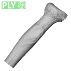 LVRB Neanderthal1 D322 10 Homo neanderthalensis radius right proximal ply
