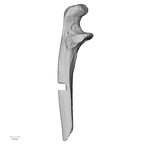 LVRB Neanderthal1 D322 11 Homo neanderthalensis ulna right lateral