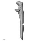 LVRB Neanderthal1 D322 11 Homo neanderthalensis ulna right medial