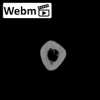 LVRB Neanderthal1 D322 12 Homo neanderthalensis humerus left ct stack movie