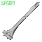 LVRB Neanderthal1 D322 12 Homo neanderthalensis humerus left ply