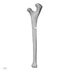 LVRB Neanderthal1 D322 13 Homo neanderthalensis ulna left lateral