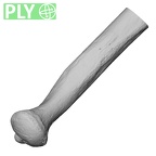LVRB Neanderthal1 D322 13 Homo neanderthalensis ulna left distal ply