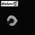 LVRB Neanderthal1 D322 15 Homo neanderthalensis femur left ct stack movie