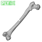 LVRB Neanderthal1 D322 15 Homo neanderthalensis femur left ply