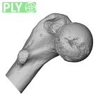 LVRB Neanderthal1 D322 15 Homo neanderthalensis femur left proximal ply