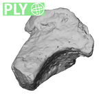 STEINHEIM SMNS-P-17230 Homo heidelbergensis fragment1 ply