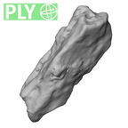 STEINHEIM SMNS-P-17230 Homo heidelbergensis fragment10 ply
