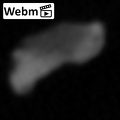 STEINHEIM_SMNS-P-17230_Homo_heidelbergensis_fragment12_webm.webm