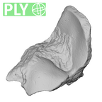 STEINHEIM SMNS-P-17230 Homo heidelbergensis fragment3 ply
