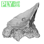 STEINHEIM SMNS-P-17230 Homo heidelbergensis fragment4 ply