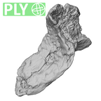 STEINHEIM SMNS-P-17230 Homo heidelbergensis fragment5 ply