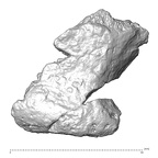 STEINHEIM SMNS-P-17230 Homo heidelbergensis fragment7 view1