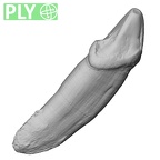 TAI-0088 Pan troglodytes verus LLC ply