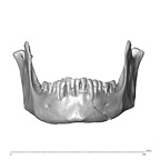 NGA88 SK1053 Homo sapiens mandible anterior