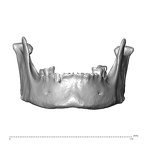 NGA88 SK1218 Homo sapiens mandible anterior