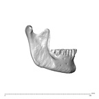 NGA88 SK1222 Homo sapiens mandible lateral right
