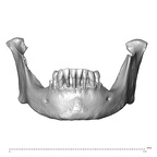 NGA88 SK170 Homo sapiens mandible anterior