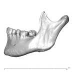 NGA88 SK229 Homo sapiens mandible lateral