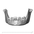 NGA88 SK319 Homo sapiens mandible anterior