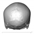 NGA88 SK48 Homo sapiens cranium posterior